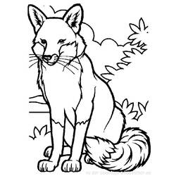 Coloring page: Fox (Animals) #14965 - Printable coloring pages