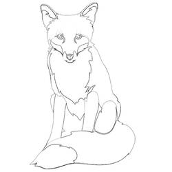 Coloring page: Fox (Animals) #14969 - Printable coloring pages