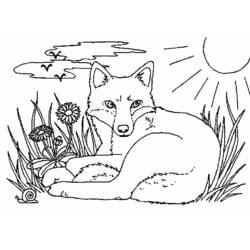 Coloring page: Fox (Animals) #15009 - Printable coloring pages