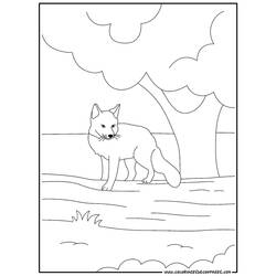 Coloring page: Fox (Animals) #15021 - Printable coloring pages
