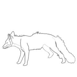 Coloring page: Fox (Animals) #15032 - Free Printable Coloring Pages