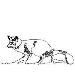 Coloring page: Fox (Animals) #15051 - Free Printable Coloring Pages