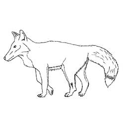 Fox (Animals) coloring page #179487 to print and color