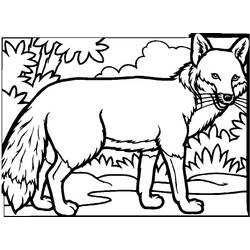 Fox (Animals) coloring page #179488 to print and color