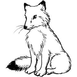 Fox (Animals) coloring page #179496 to print and color