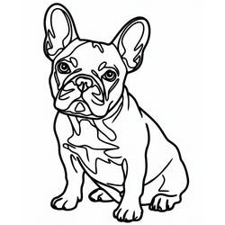 Coloring page: French Bulldog (Animals) #221198 - Free Printable Coloring Pages
