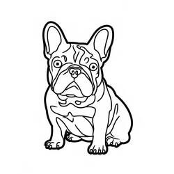 Coloring page: French Bulldog (Animals) #221199 - Free Printable Coloring Pages