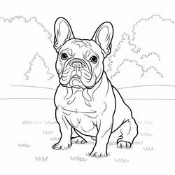 Coloring page: French Bulldog (Animals) #221215 - Free Printable Coloring Pages