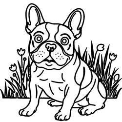 Coloring page: French Bulldog (Animals) #221216 - Free Printable Coloring Pages