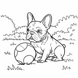 Coloring page: French Bulldog (Animals) #221217 - Free Printable Coloring Pages
