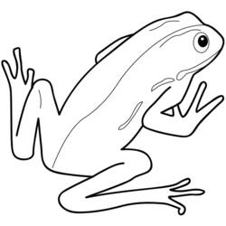 Coloring page: Frog (Animals) #7596 - Printable coloring pages