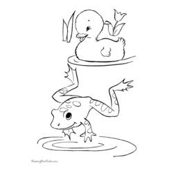 Coloring page: Frog (Animals) #7599 - Free Printable Coloring Pages
