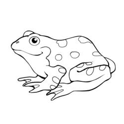 Coloring pages: Frog - Free Printable Coloring Pages