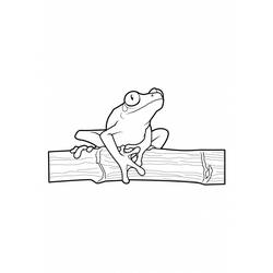 Coloring page: Frog (Animals) #7611 - Free Printable Coloring Pages