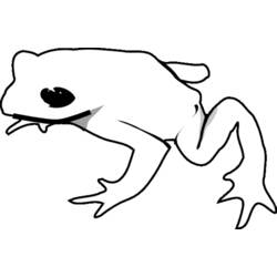 Coloring page: Frog (Animals) #7614 - Free Printable Coloring Pages