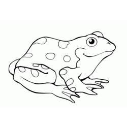 Coloring page: Frog (Animals) #7615 - Printable coloring pages