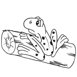 Coloring page: Frog (Animals) #7616 - Free Printable Coloring Pages