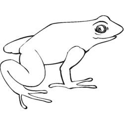 Coloring page: Frog (Animals) #7629 - Free Printable Coloring Pages