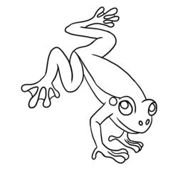 Coloring page: Frog (Animals) #7635 - Free Printable Coloring Pages
