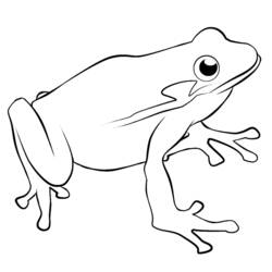 Coloring page: Frog (Animals) #7642 - Printable coloring pages