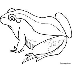 Coloring page: Frog (Animals) #7655 - Free Printable Coloring Pages