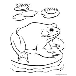 Coloring page: Frog (Animals) #7661 - Free Printable Coloring Pages