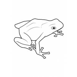 Coloring page: Frog (Animals) #7679 - Free Printable Coloring Pages