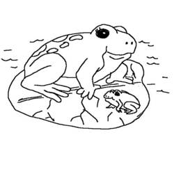 Coloring page: Frog (Animals) #7715 - Free Printable Coloring Pages