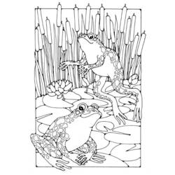 Coloring page: Frog (Animals) #7716 - Free Printable Coloring Pages