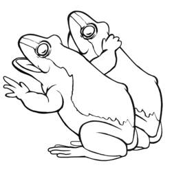 Coloring page: Frog (Animals) #7717 - Free Printable Coloring Pages