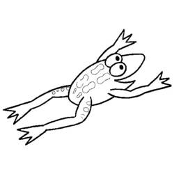Coloring page: Frog (Animals) #7722 - Free Printable Coloring Pages
