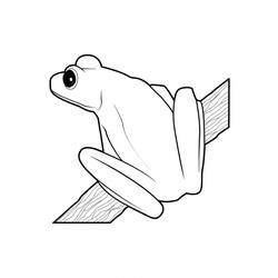 Coloring page: Frog (Animals) #7756 - Free Printable Coloring Pages