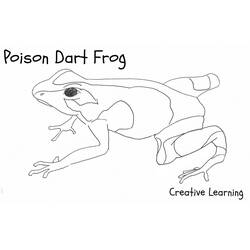 Coloring page: Frog (Animals) #7757 - Free Printable Coloring Pages