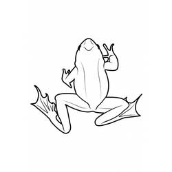 Coloring page: Frog (Animals) #7760 - Free Printable Coloring Pages