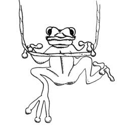Coloring page: Frog (Animals) #7763 - Free Printable Coloring Pages
