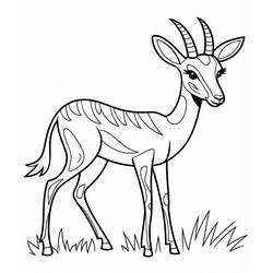 Gazelle (Animals) coloring page #219891 to print and color