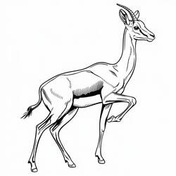 Gazelle (Animals) coloring page #219892 to print and color