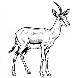 Gazelle (Animals) coloring page #219893 to print and color