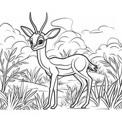 Gazelle (Animals) coloring page #219901 to print and color