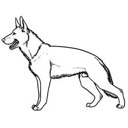 Coloring page: German Shepherd (Animals) #214082 - Free Printable Coloring Pages