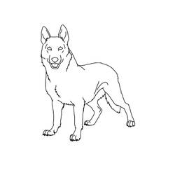 Coloring page: German Shepherd (Animals) #214084 - Free Printable Coloring Pages