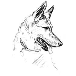 Coloring page: German Shepherd (Animals) #214087 - Free Printable Coloring Pages