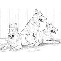 Coloring page: German Shepherd (Animals) #214089 - Free Printable Coloring Pages