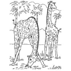 Giraffe (Animals) coloring page #177580 to print and color