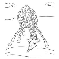 Giraffe (Animals) coloring page #177592 to print and color