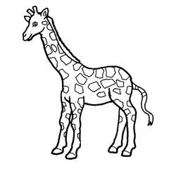 Giraffe (Animals) coloring page #177606 to print and color