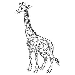 Coloring page: Giraffe (Animals) #7226 - Free Printable Coloring Pages