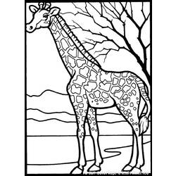 Coloring page: Giraffe (Animals) #7231 - Printable coloring pages