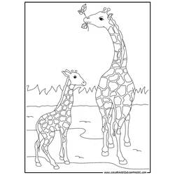 Coloring page: Giraffe (Animals) #7248 - Free Printable Coloring Pages