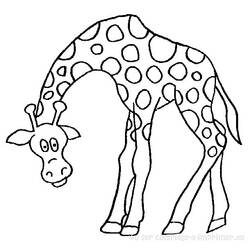 Coloring page: Giraffe (Animals) #7250 - Printable coloring pages